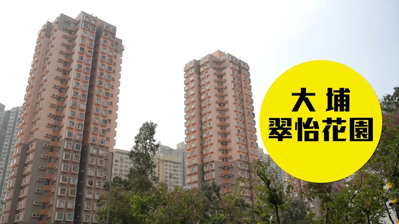 主图